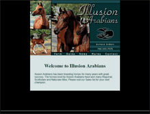 Tablet Screenshot of illusionarabians.com